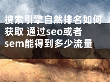 搜索引擎自然排名如何獲取 通過seo或者sem能得到多少流量 