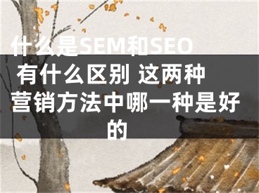 什么是SEM和SEO 有什么區(qū)別 這兩種營(yíng)銷方法中哪一種是好的 