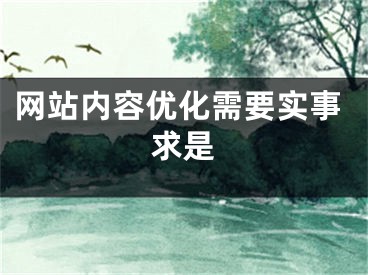 網(wǎng)站內(nèi)容優(yōu)化需要實(shí)事求是