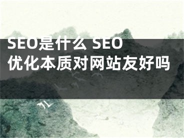 SEO是什么 SEO優(yōu)化本質(zhì)對(duì)網(wǎng)站友好嗎 