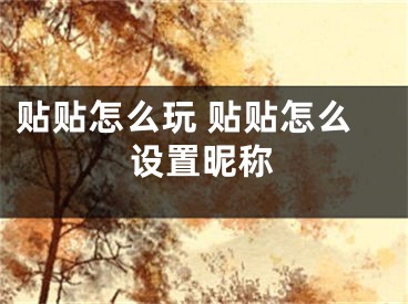 貼貼怎么玩 貼貼怎么設(shè)置昵稱