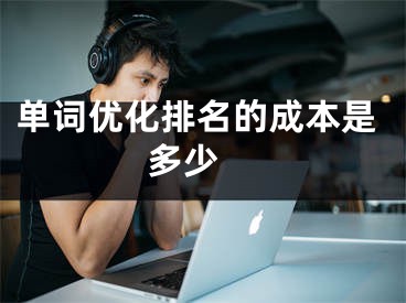 單詞優(yōu)化排名的成本是多少 