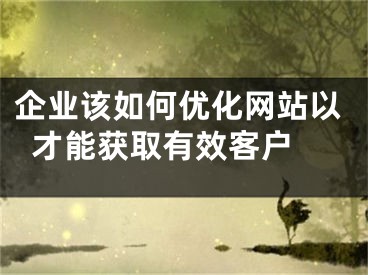 企業(yè)該如何優(yōu)化網(wǎng)站以才能獲取有效客戶 