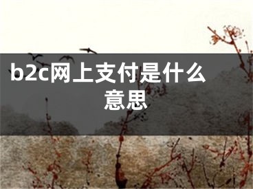 b2c網(wǎng)上支付是什么意思