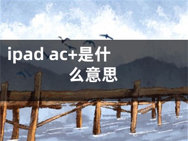 ipad ac+是什么意思