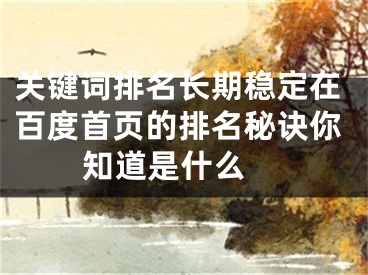 關(guān)鍵詞排名長期穩(wěn)定在百度首頁的排名秘訣你知道是什么 