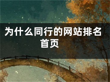 為什么同行的網(wǎng)站排名首頁 