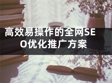 高效易操作的全網(wǎng)SEO優(yōu)化推廣方案