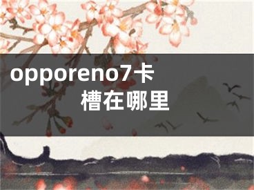 opporeno7卡槽在哪里