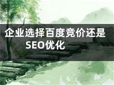 企業(yè)選擇百度競價還是SEO優(yōu)化 