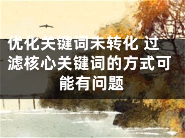 優(yōu)化關(guān)鍵詞未轉(zhuǎn)化 過(guò)濾核心關(guān)鍵詞的方式可能有問(wèn)題