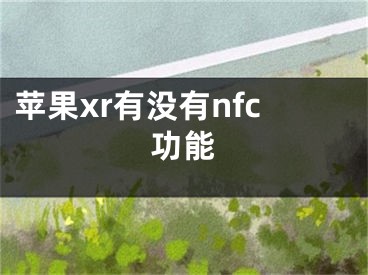 蘋果xr有沒有nfc功能