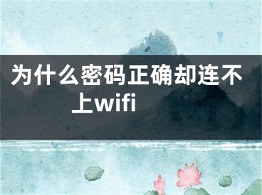 為什么密碼正確卻連不上wifi