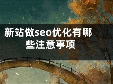 新站做seo優(yōu)化有哪些注意事項 