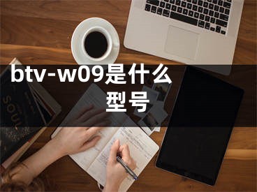 btv-w09是什么型號