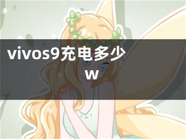 vivos9充電多少w