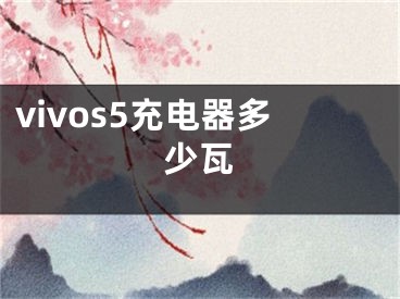 vivos5充電器多少瓦