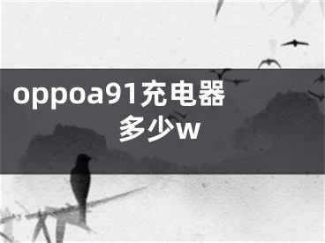 oppoa91充電器多少w