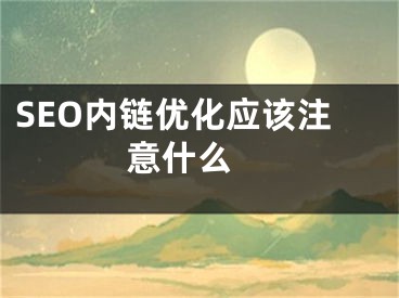 SEO內(nèi)鏈優(yōu)化應(yīng)該注意什么 