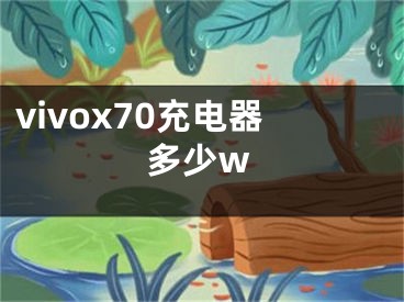 vivox70充電器多少w