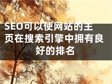 SEO可以使網(wǎng)站的主頁(yè)在搜索引擎中擁有良好的排名