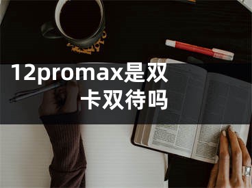 12promax是雙卡雙待嗎