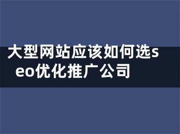 大型網(wǎng)站應(yīng)該如何選seo優(yōu)化推廣公司 