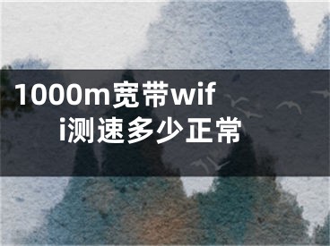 1000m寬帶wifi測(cè)速多少正常