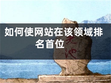 如何使網(wǎng)站在該領(lǐng)域排名首位 