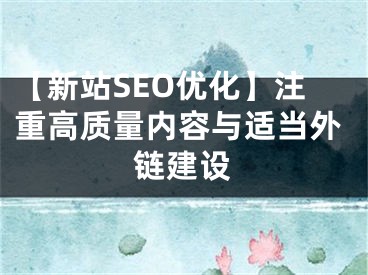 【新站SEO優(yōu)化】注重高質量內容與適當外鏈建設