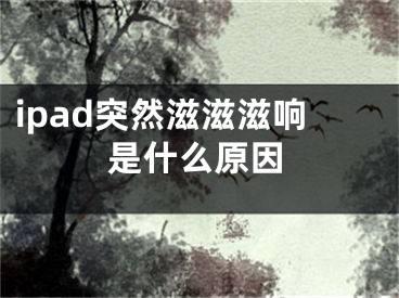 ipad突然滋滋滋響是什么原因