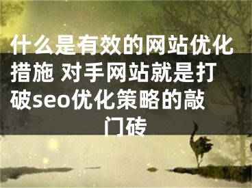 什么是有效的網(wǎng)站優(yōu)化措施 對手網(wǎng)站就是打破seo優(yōu)化策略的敲門磚