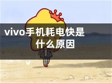 vivo手機(jī)耗電快是什么原因