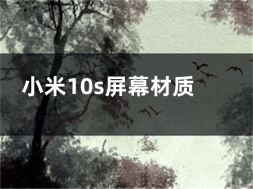 小米10s屏幕材質(zhì)