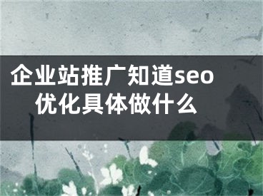 企業(yè)站推廣知道seo優(yōu)化具體做什么 