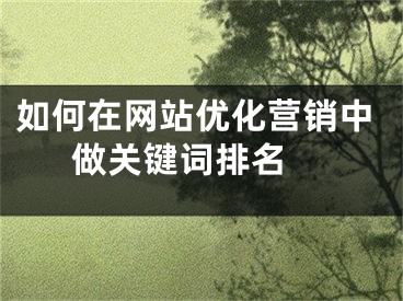 如何在網(wǎng)站優(yōu)化營(yíng)銷中做關(guān)鍵詞排名 