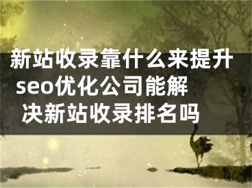 新站收錄靠什么來提升 seo優(yōu)化公司能解決新站收錄排名嗎 