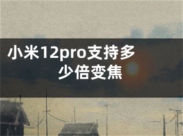 小米12pro支持多少倍變焦