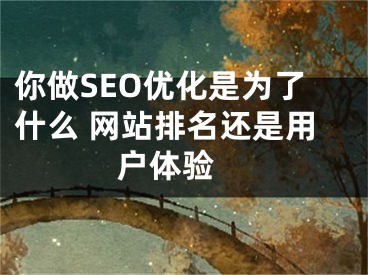 你做SEO優(yōu)化是為了什么 網(wǎng)站排名還是用戶體驗 