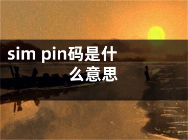 sim pin碼是什么意思