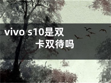 vivo s10是雙卡雙待嗎