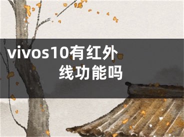 vivos10有紅外線功能嗎