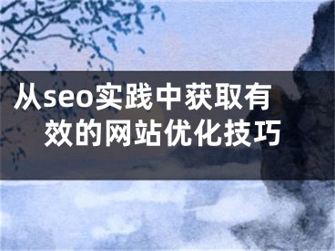 從seo實踐中獲取有效的網(wǎng)站優(yōu)化技巧