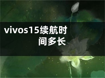 vivos15續(xù)航時間多長