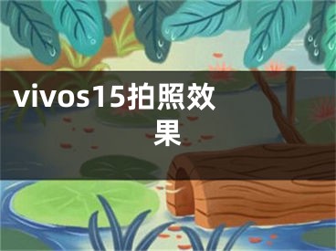 vivos15拍照效果