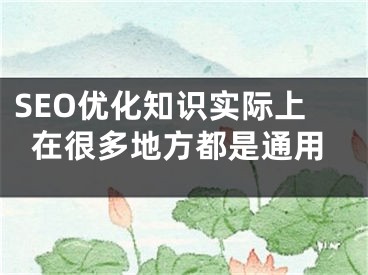 SEO優(yōu)化知識實際上在很多地方都是通用