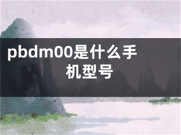 pbdm00是什么手機(jī)型號(hào)