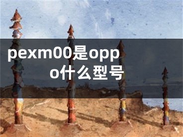 pexm00是oppo什么型號(hào)