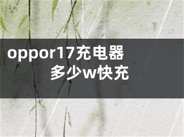 oppor17充電器多少w快充