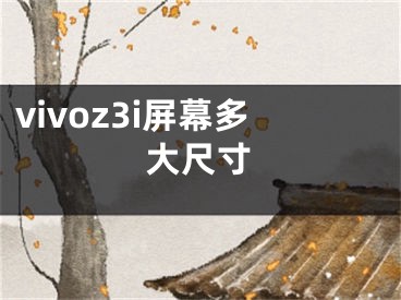 vivoz3i屏幕多大尺寸